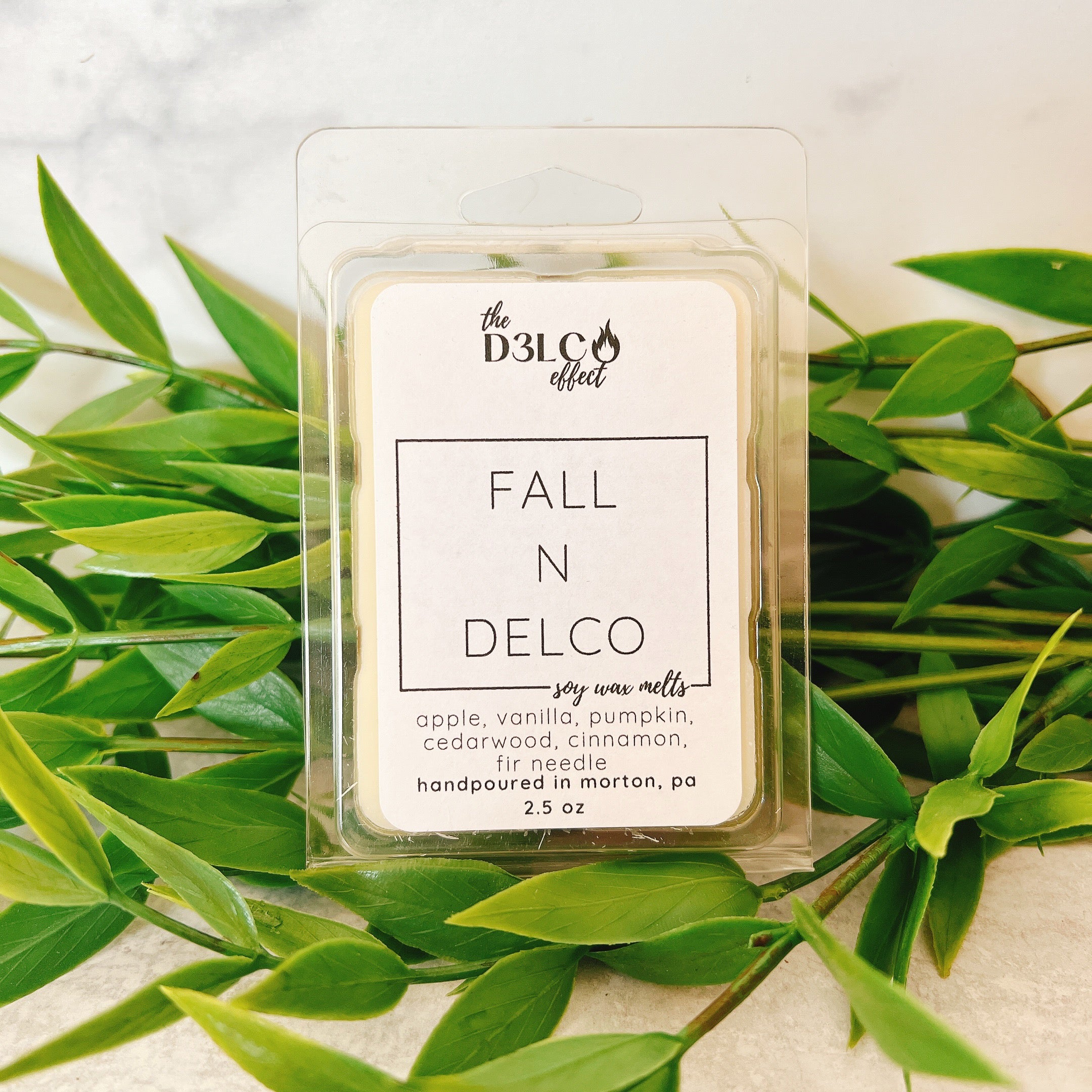 Fall N Delco – The D3LCO Effect